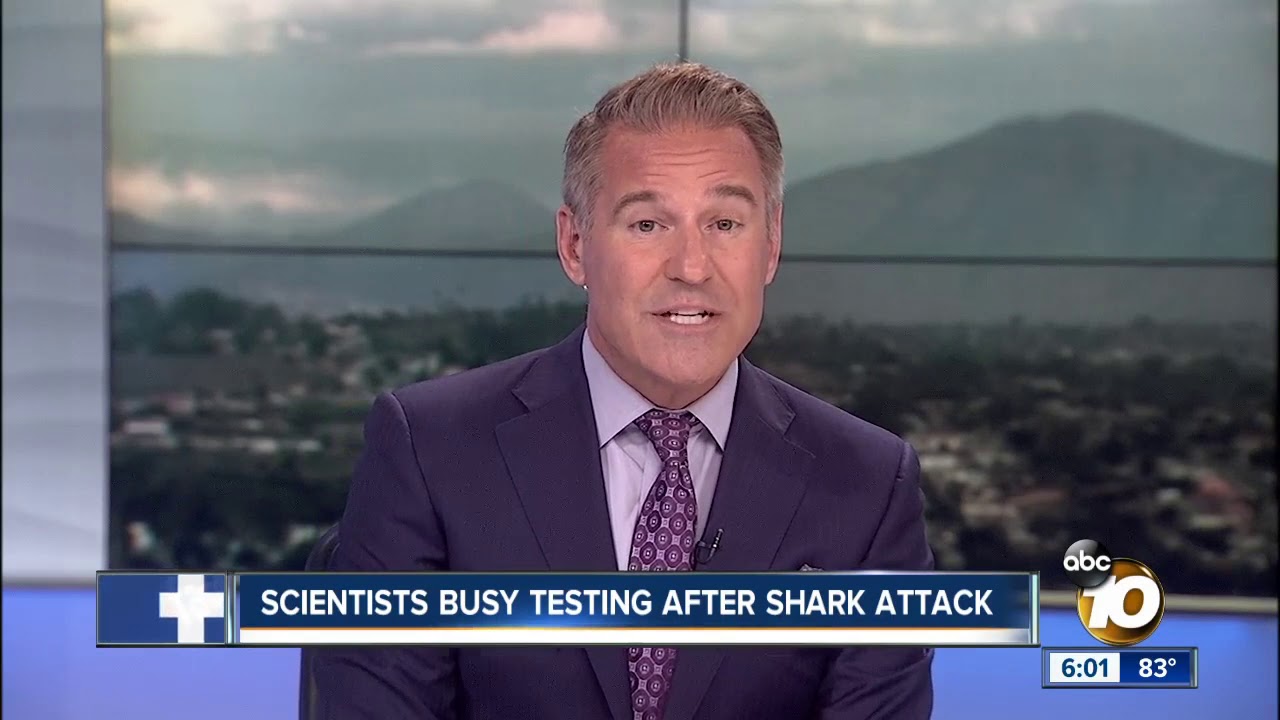 Scientists believe great white shark bit boy in San Diego