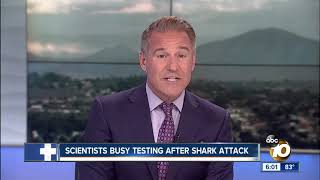 Scientists believe great white shark bit boy in San Diego