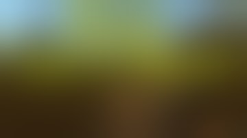 The Bad/Weird Side of Rust - A Random Series of Events -