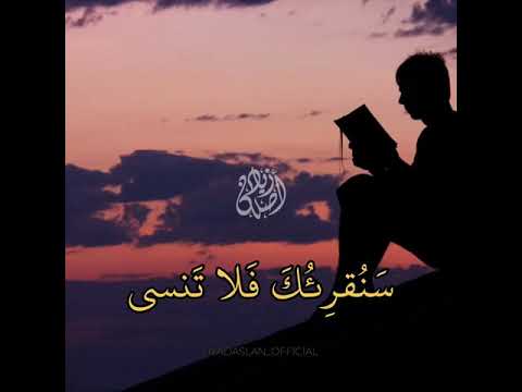 سنقرئك فلا تنسى القارئ زياد أصلان