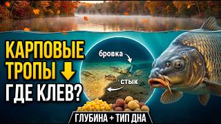 Where Is the Carp in September? Secrets of Autumn Fishing screenshot 3