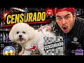 Así se ven las GLÁNDULAS 4N4L3$ ⚠️ | No ver mientras estás comiendo!!!!