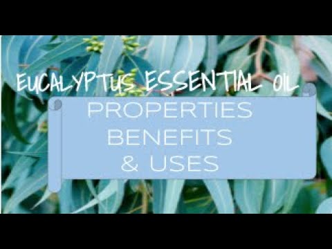 Eucalyptus Essential Oil - Benefits & Uses - YouTube