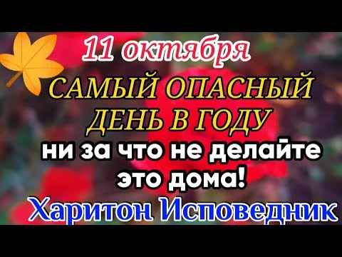 11 октября - Харитонов День! Что нельзя делать. Народные Приметы.