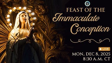 Feast of Immaculate Conception: 12-8-25