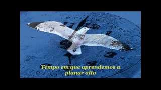 Evergreen - Love Theme from A Star is Born -  Barbra Streisand (Tradução)