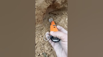 The best pinpointer metal detector find object #pinpointermetaldetector #shortsfeed #metaldetecting