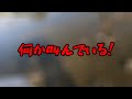理解不能！魚捕りをしていたら偏屈ジジイに怒鳴られた！