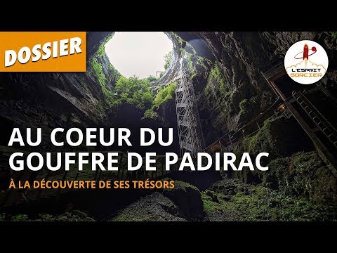 Vidéo: Peintures de coquille d'oeuf