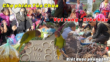 Ngỡ ngàng chợ phiên TỦA CHÙA - ĐIỆN BIÊN bán toàn đồ lạ | Tôi Người Vùng Cao