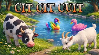 CIT CIT CUIT 🐦 BURUNG BERNYANYI - BEBEK BERENANG - KOKOK PETOK AYAM BERTELUR - LAGU ANAK VIRAL