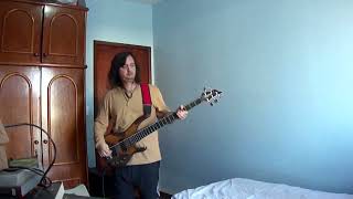 blink-182 - When We Were Young (bass only)