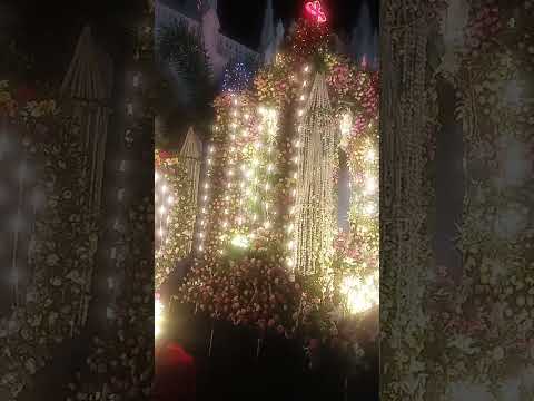 Car Procession of