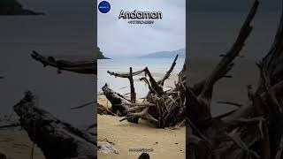 Andaman Tour Package