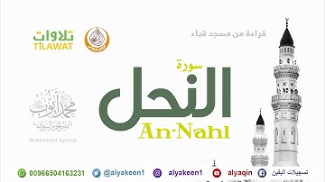 سورة النحل   من مسجد قباء لإمام المسجد النبوي (بجودة عالية) الشيخ محمد أيوب رحمه الله