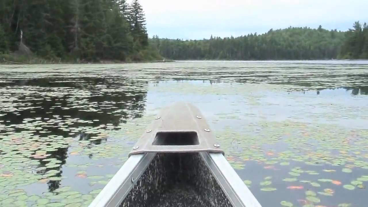 Turtle Biology Field Research