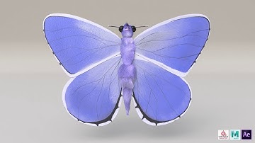 Butterfly in Maya - Xgen