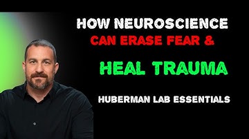 How Neuroscience Can Erase Fear & Heal Trauma | Huberman Lab Essentials
