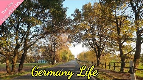 Phong Cảnh Đẹp Mùa Thu | Cuộc Sống Thôn Quê Ở Đức | Du Lịch Đức | Cuộc Sống Ở Đức #175