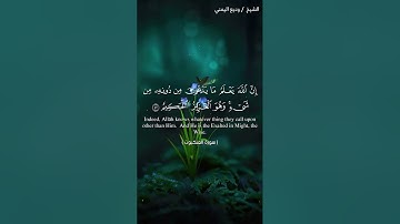 القارئ: وديع اليمني 🍃 أرح سمعك 🥀حالات واتس آب ♻️https://t.me/halat1000