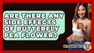 Are There Any Side Effects Of Erfly Pea Flower? - Beverage Buff