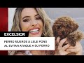 Lele Pons sufre mordida de un perro al evitar que atacara a su mascota