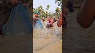 Wow! Amazing Polo Fishing Videos ! Best Big Fish Catching ! Primitive Technique fishing #fish #india