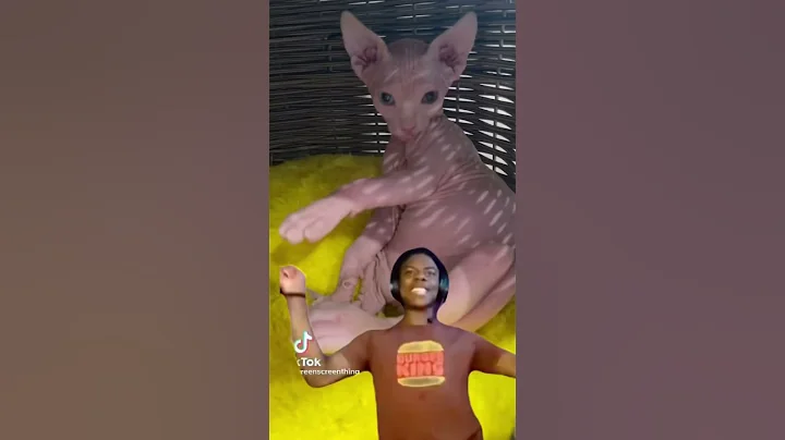 Watch the video about Nudacris #viral #subscribe #sphynx #trending #youtubeshorts #memes #funny #life #youtube #pets