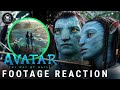 ‘Avatar 2’ Finally Has A Title, Debuts First Footage