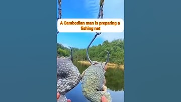 Mồi câu cá sấu câu cá khổng lồ #cacconvat #docla #fishing