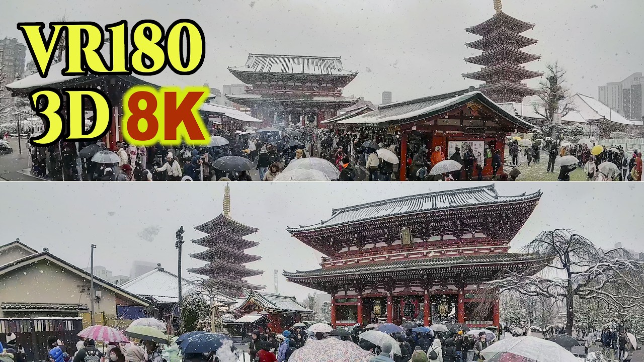 8K 3D VR180 ] 東京・浅草の雪景色：観光客で賑わう東京・浅草寺
