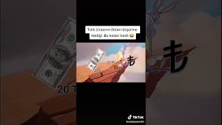 Bugs Bunny Doları Düşürüyor