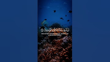 القارئ _ ماهر المعيقلي #قرآن #اكسبلور #المصحف #إستمع #حالات_واتس