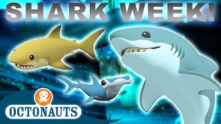 @Octonauts    Who Loves Sharks? | SHARK WEEK Special!  | 90 Mins+ Compilation