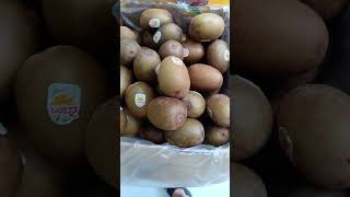 Sweet Kiwi Fruit shorts