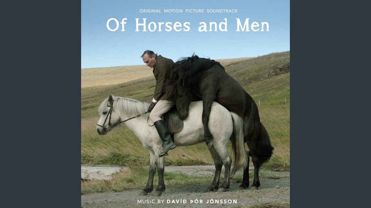 1 Man 1 Horse Video Link