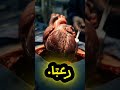 ❤️😳 ماذا لو توقف قلبك لمدة 10 ثوانٍ؟#Science #Mystery #Shorts