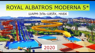 ROYAL ALBATROS MODERNA 5 обзор отеля от турагента 2020