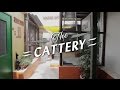 Dkc tour  part 4 of 9  the cattery