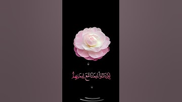 صباح الخير🌸حالات واتس اب قران مقاطع قصيره🌸سورة الفتح هو الذي انزل السكينة عبد الرحمن مسعد🌸بدون حقوق