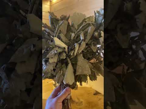 ТАКАЯ Баня НЕ СГНИЁТ! Как Полок, Потолок и Печь Сушат Баню