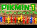 Pikmin 1 (Switch) - Full Game 100% Walkthrough