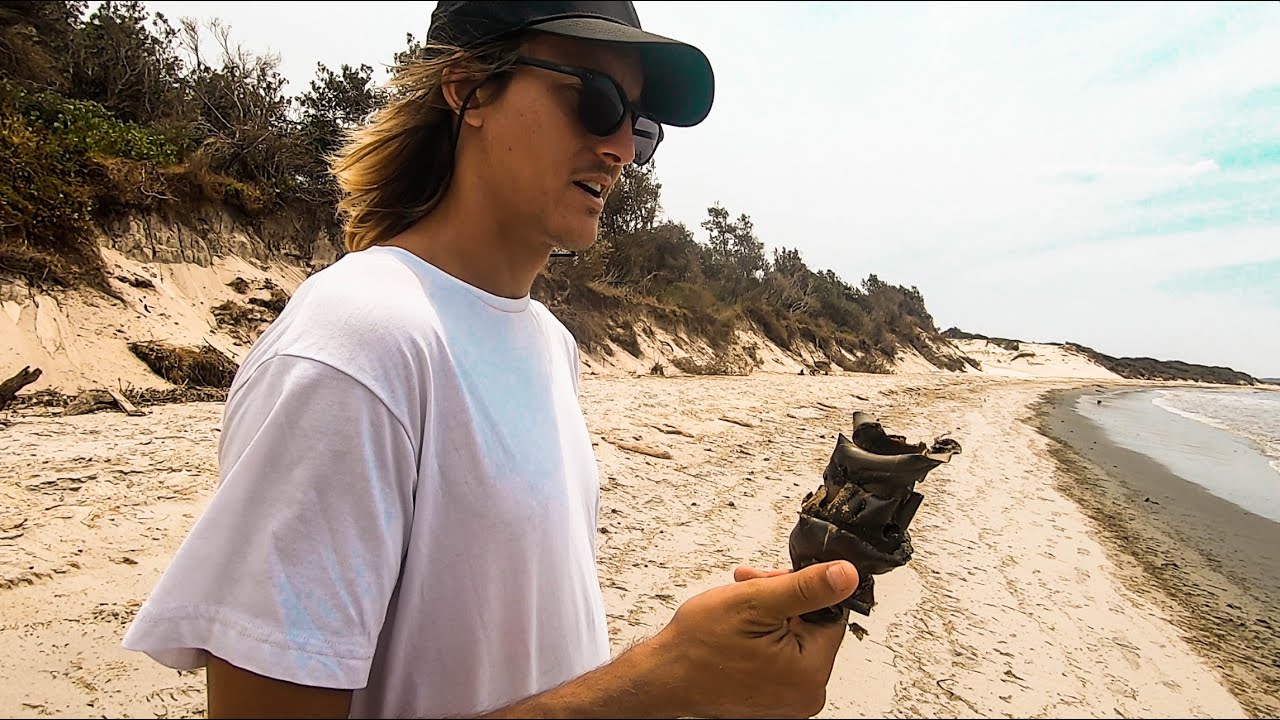 Have You Ever Seen A Shark Egg? Sailing Around A Shark Breeding Ground: PORT STEPHENS ~Vlog 81