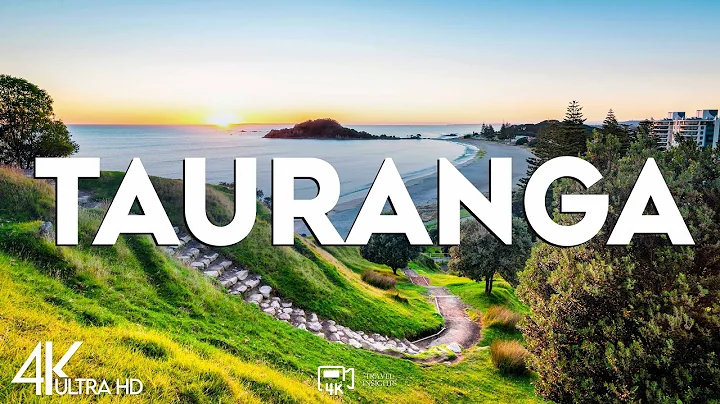 Top 10 Best Things to Do in Tauranga, New Zealand - Travel Guide 2024