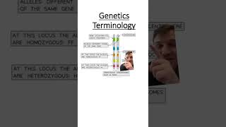 Genetics Terminology