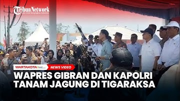 Wapres Gibran dan Kapolri Tanam Jagung di Tigaraksa, Disambut Ribuan Warga dan Gapoktan