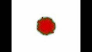 Cell-based simulation of blood-vessel growth - Movie S7