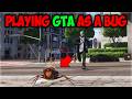 Spending A Day In The Life Of A GIANT Roach!! GTA 5 RP