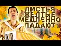Обалденная Дворовая Песня Листья желтые медленно падают поет Вячеслав Абросимов Обалденная Дворовая Песня Листья желтые медленно падают поет Вячеслав Абросимов