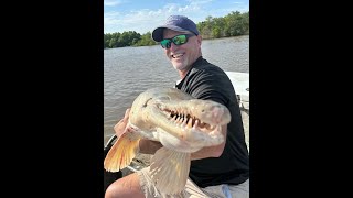 Monster Alligator Gar on the Trinity River